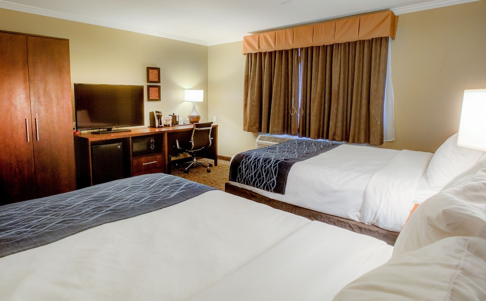 Comfort Inn Sunnyvale Silicon Valley - photo 14
