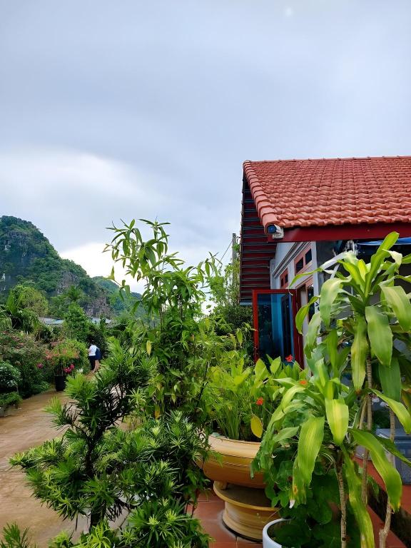 Ninh Binh Green Farmstay — 4-Star Luxury Hotel in Ninh Binh, Vietnam
