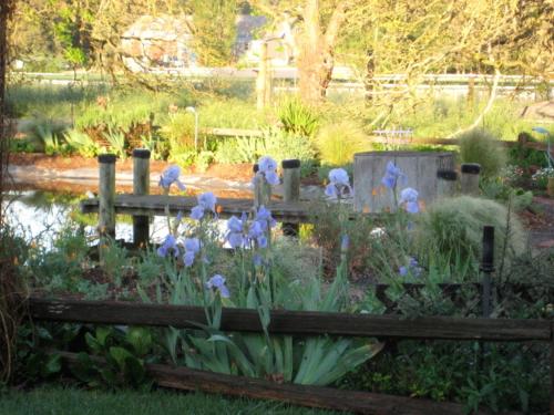 Pearlessence Vineyard Inn - photo 15