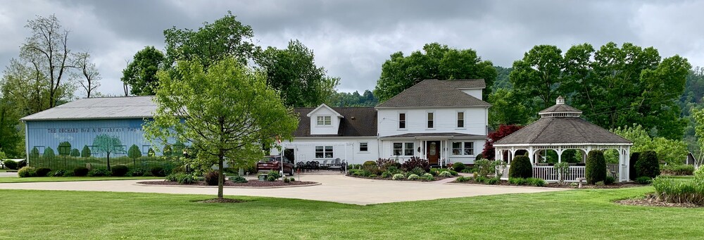 The Orchard Bed And Breakfast - photo 37