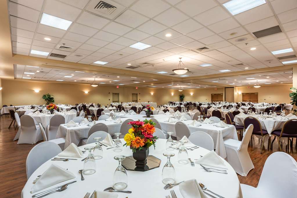 Quality Inn & Suites Hannibal West - photo 26