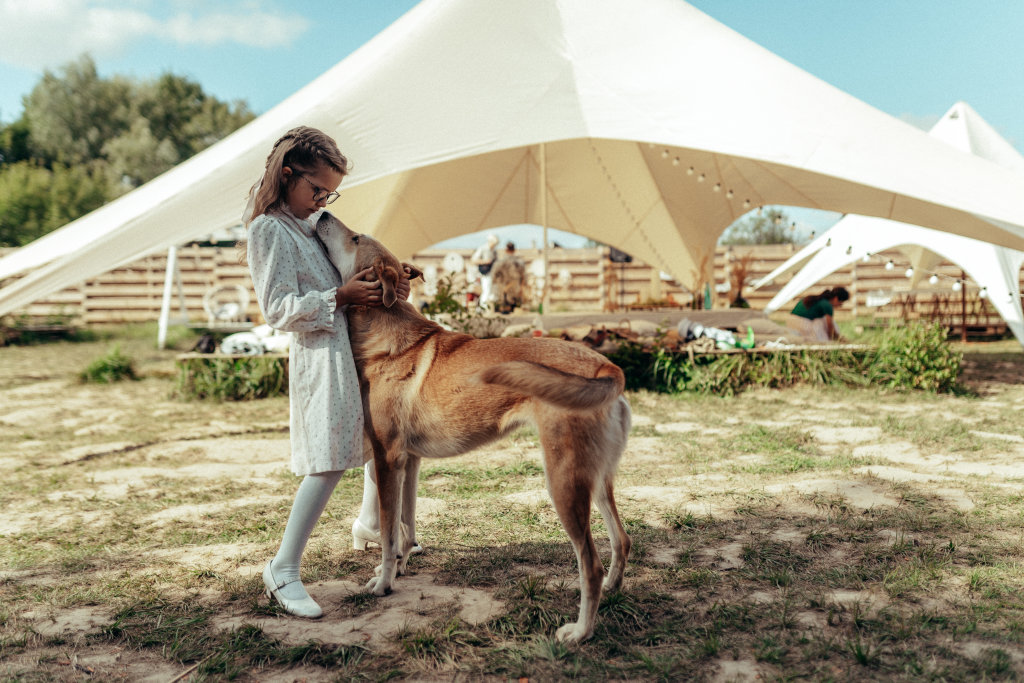 Dikaya Sobaka Dingo Glamping - last minute hotel in Kazan