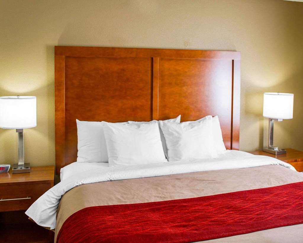 Comfort Inn & Suites Coralville Iowa City near Iowa River Landing - photo 32