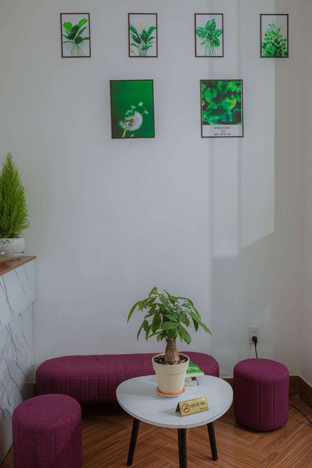 Thu Le Hotel Da Lat in Da Lat, Vietnam