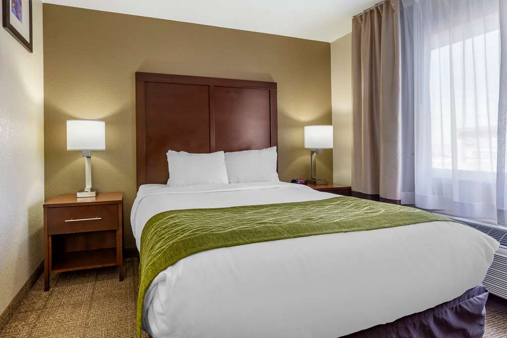 Comfort Inn & Suites Alameda at Albuquerque Balloon Fiesta Park - photo 11