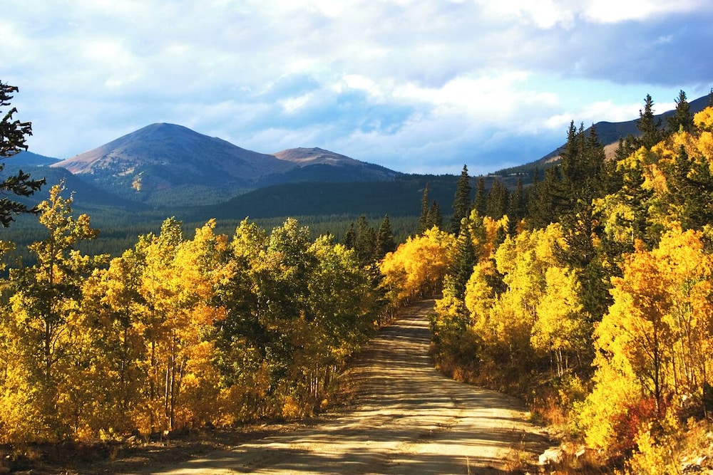 Moose Crossing - photo 31