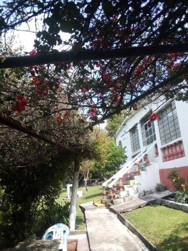 Casa Don Rubén — 4-Star Luxury Hotel in Malinalco, Mexico