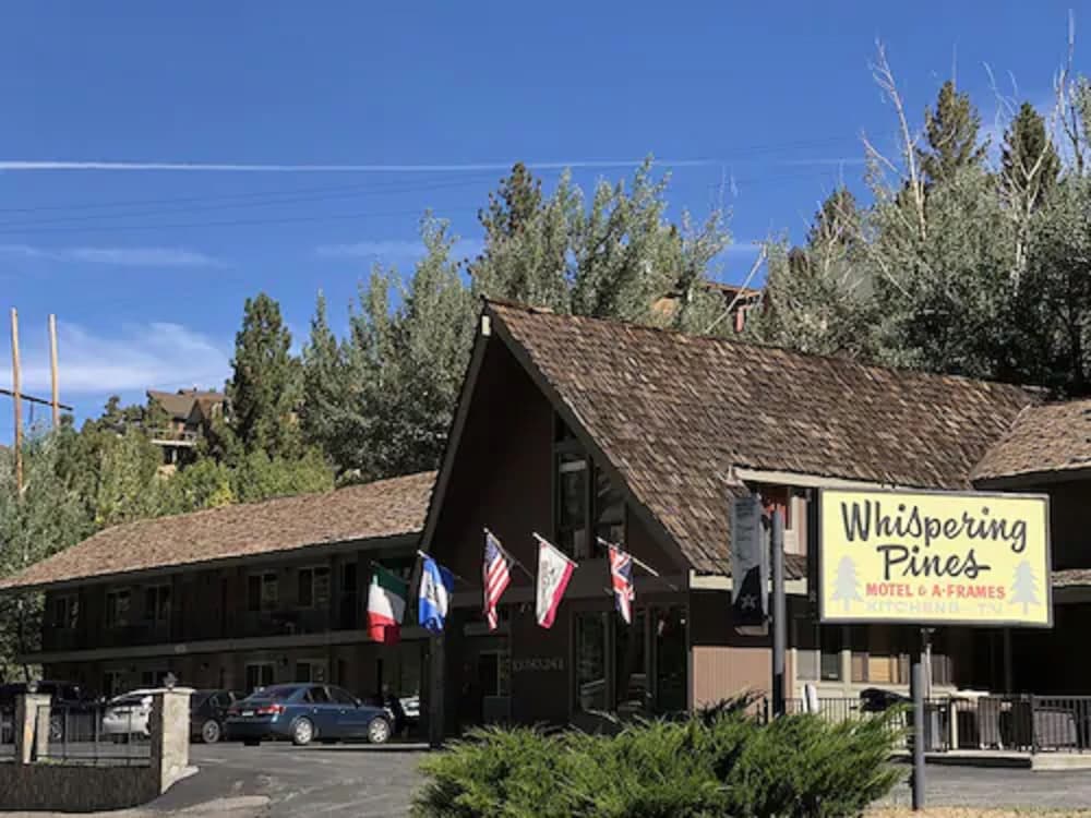 Whispering Pines - carbon neutral hotel in Unknown City