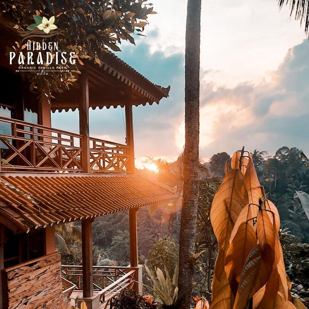 Hidden Paradise