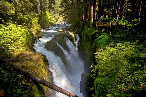 Sol Duc Hot Springs Resort - photo 14