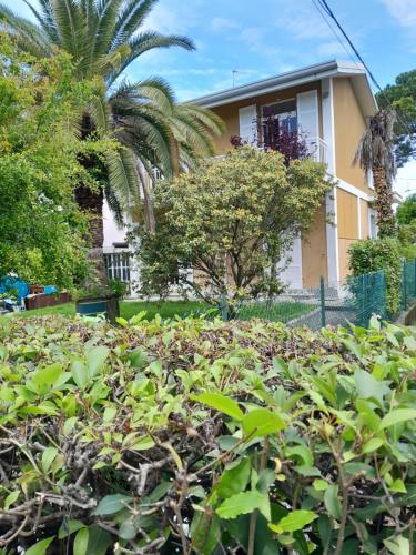 Villetta Le Palme in Toscolano Maderno, Italy