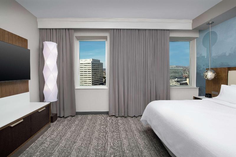 Embassy Suites by Hilton Knoxville Downtown - photo 100