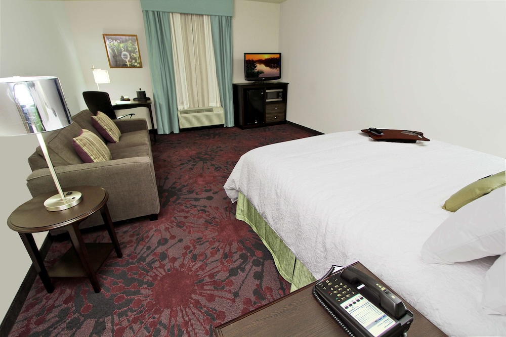 Hampton Inn & Suites Winnie - photo 16