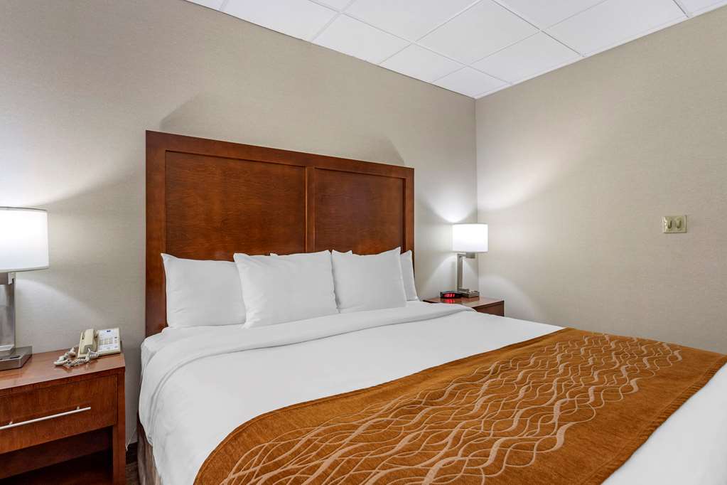 Comfort Inn Syosset Long Island - photo 10