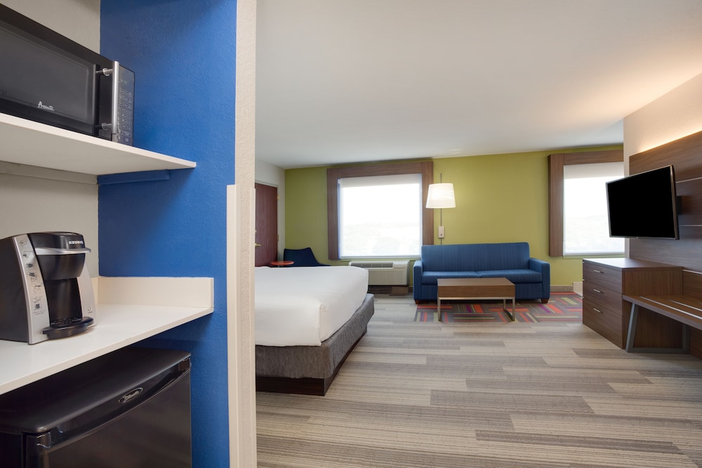 Holiday Inn Express Hotel & Suites Tampa Fairgrounds Casino by IHG - photo 7