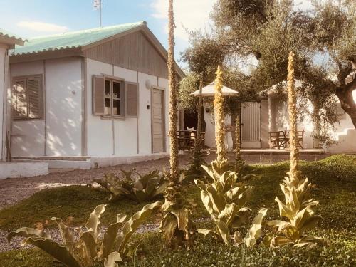 Barreira Beachfront Rooms 4 in Kalamata, Greece