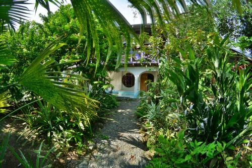 Cabinas carol in Golfito, Costa Rica