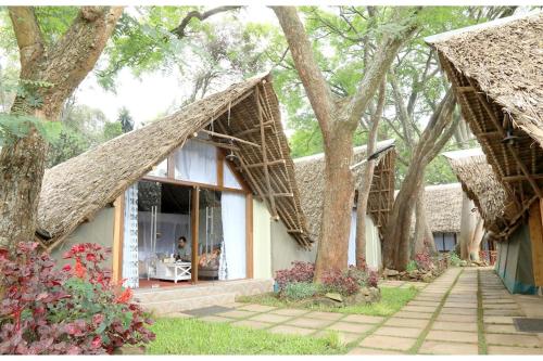 The Giraffe Cottage