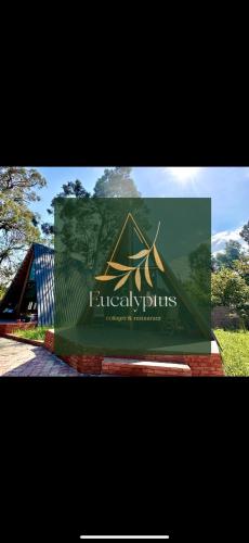 Eucalyptus Cottages in Chakvi, Georgia