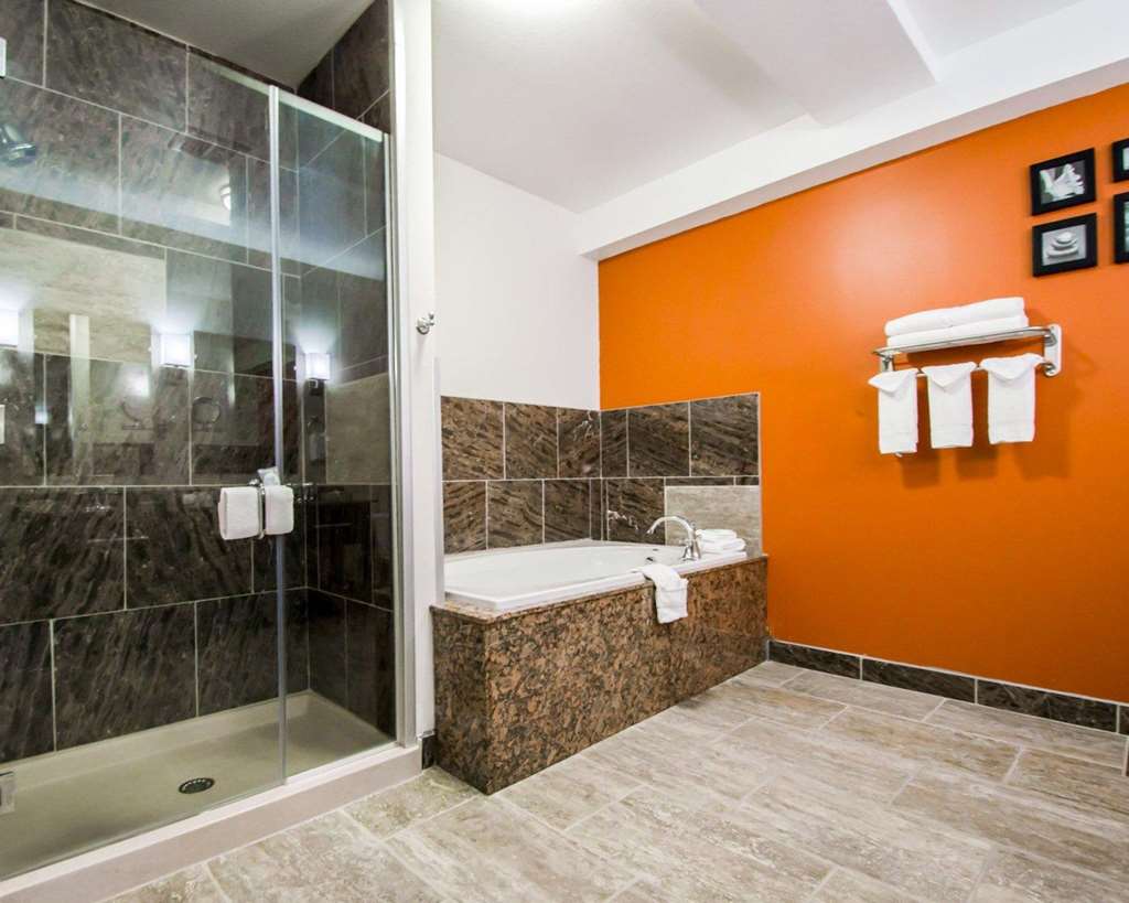 Sleep Inn & Suites and Conference Center Downtown - photo 14