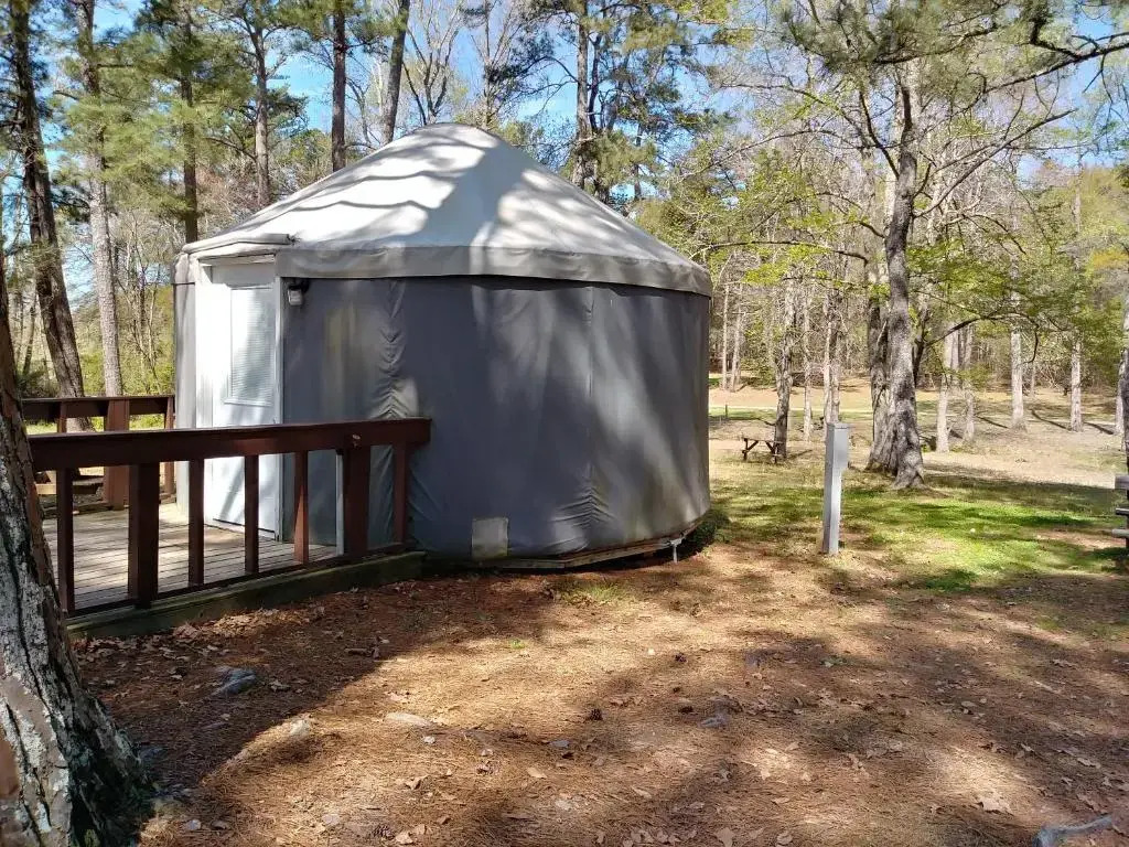 Pine Mountain RV Resort - photo 20