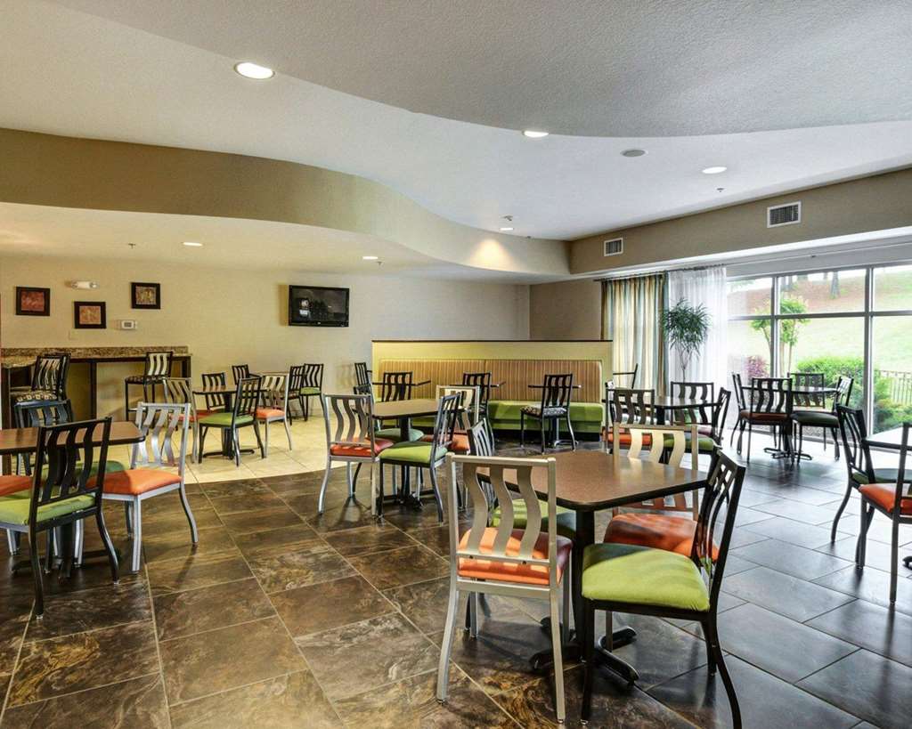 Comfort Suites near Hot Springs Park - photo 31