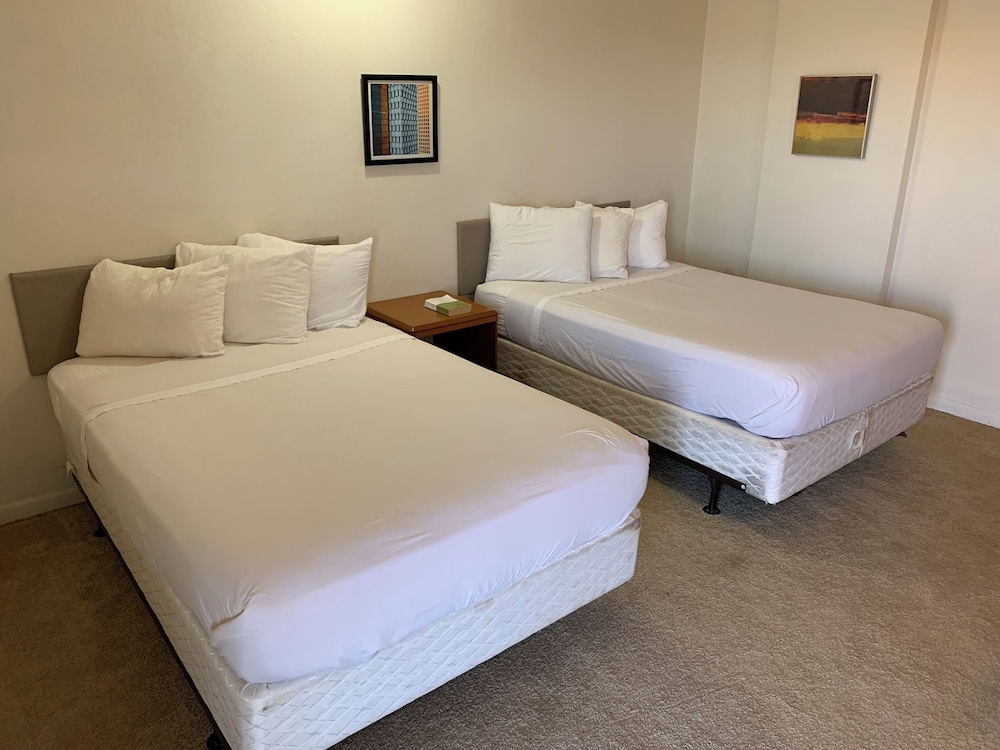 Sawmill Lodges Motel - photo 7