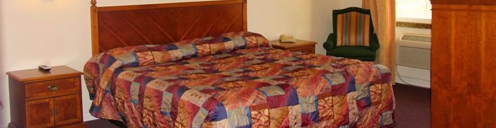 Chateau Inn and Suites - photo 8