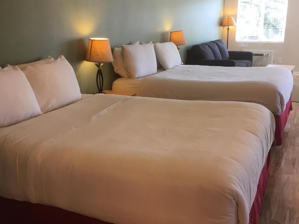 Clear Lake Cottages & Marina - photo 3