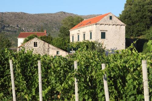 Villa Violić