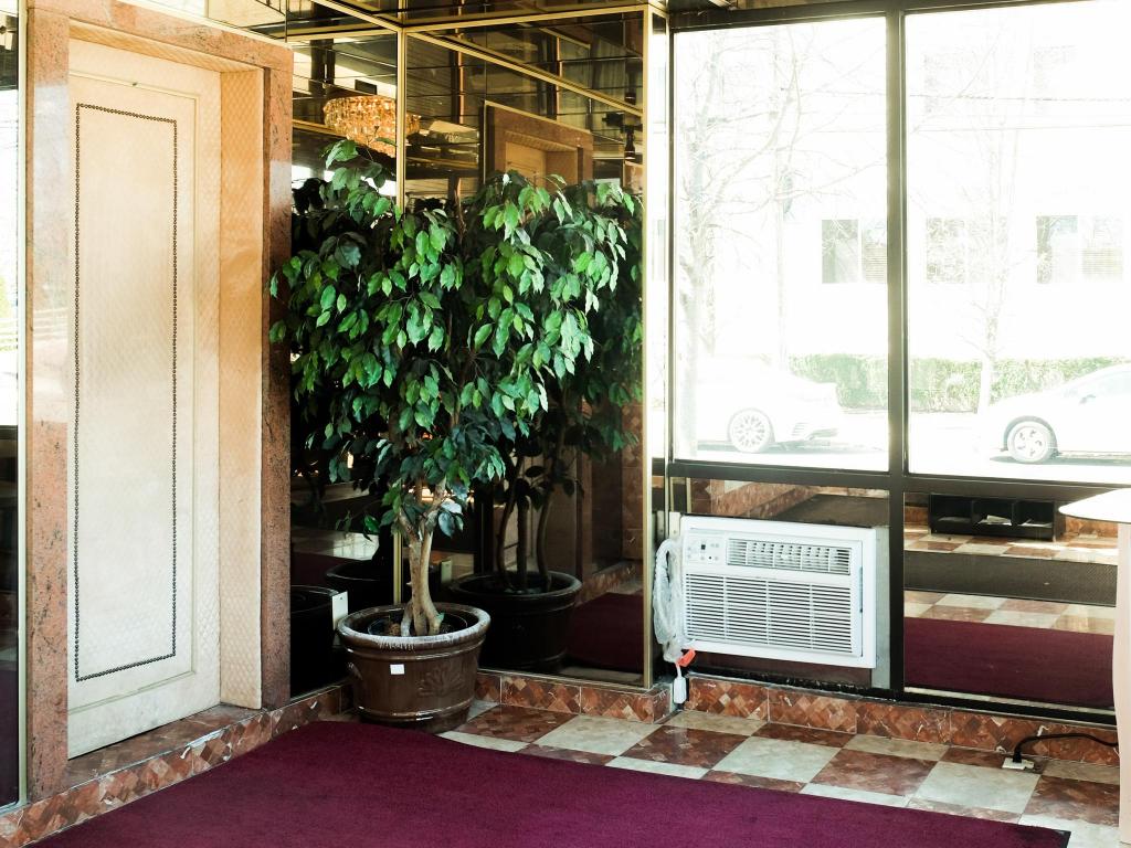 Capri Lynbrook Motor Inn - photo 24