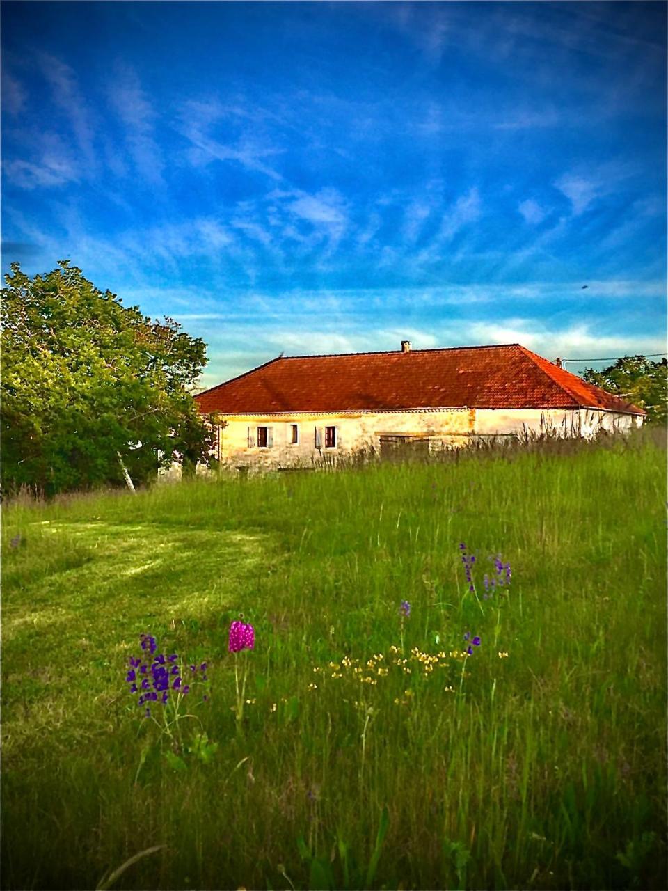 Le Bouyssou — hotel in Cazes-Mondenard