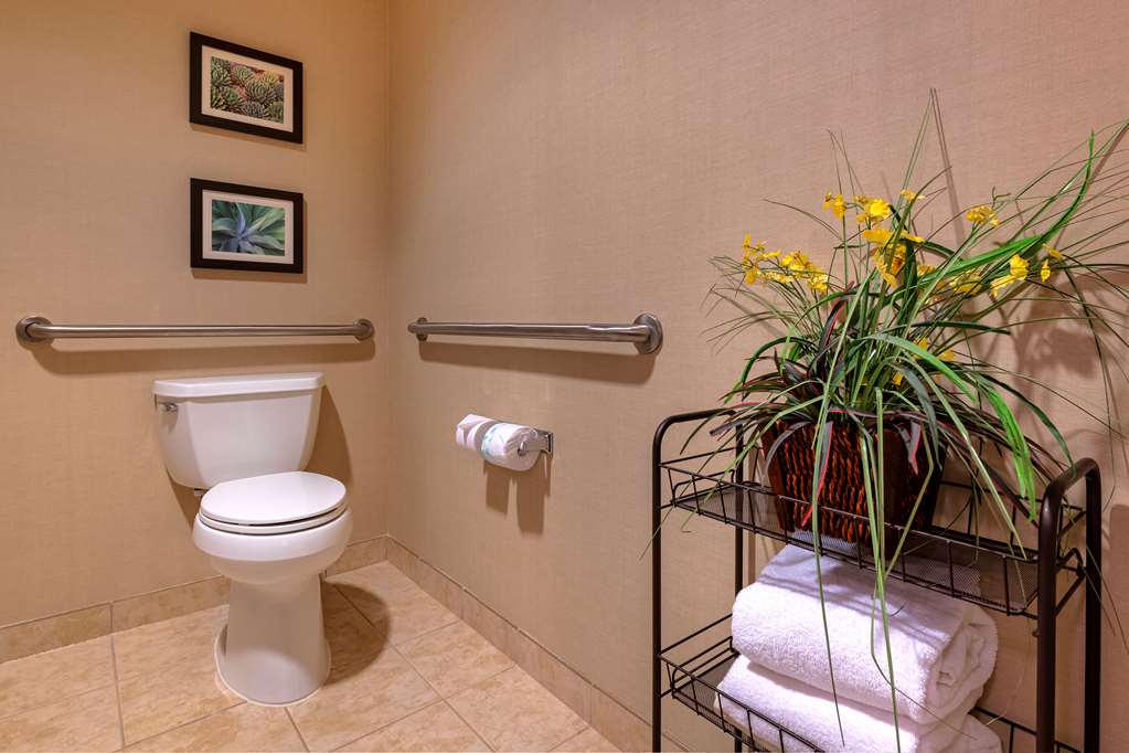 Comfort Suites Goodyear West Phoenix - photo 50