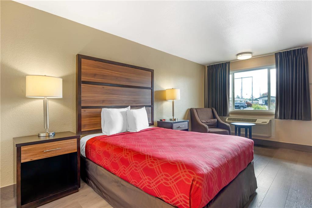 Rodeway Inn Albany - photo 10