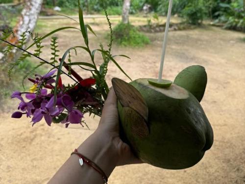 Sinharaja Greenvilla - last minute hotel in Unknown City
