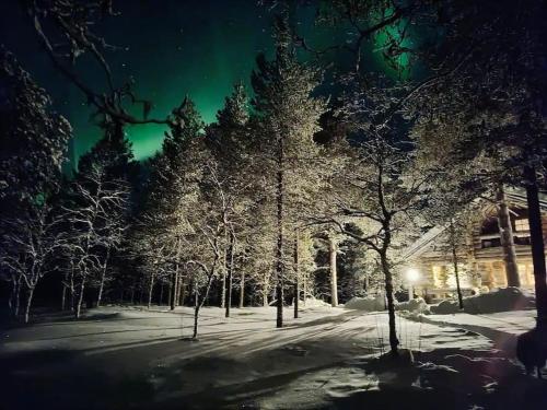 Lapland Lake Hideout with Modern Amenities And Activities in Enontekioe, Finland