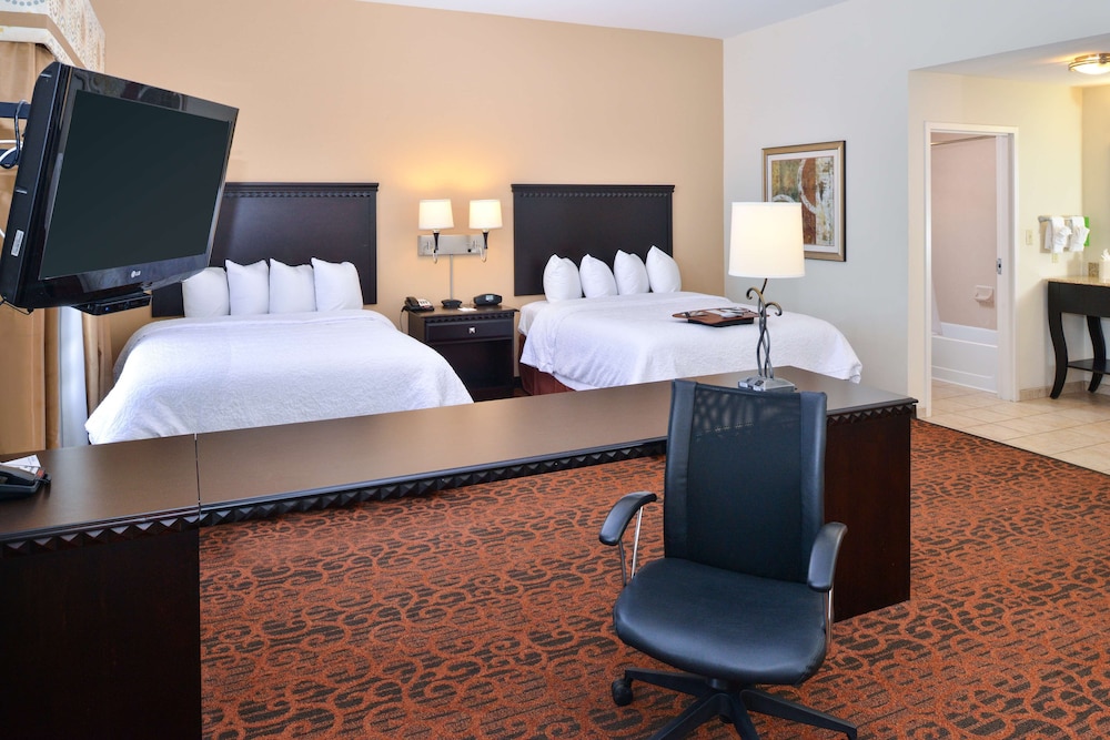 Hampton Inn Pecos - photo 11