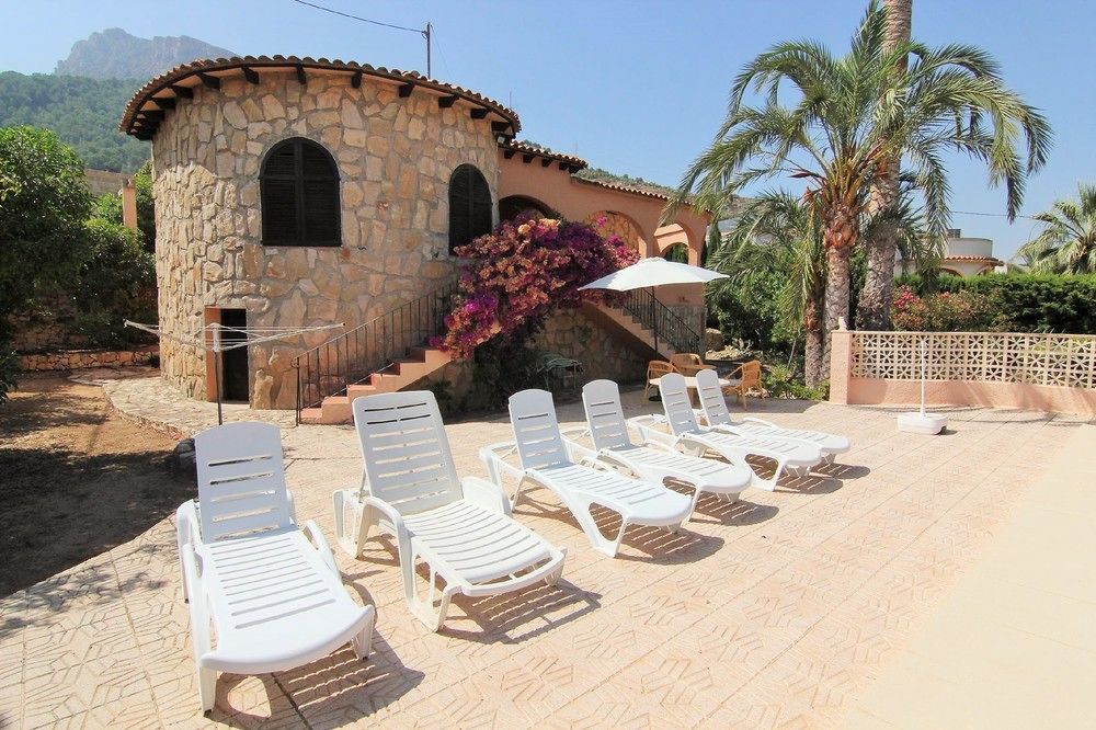 Acan0916 — Calp — photo 3