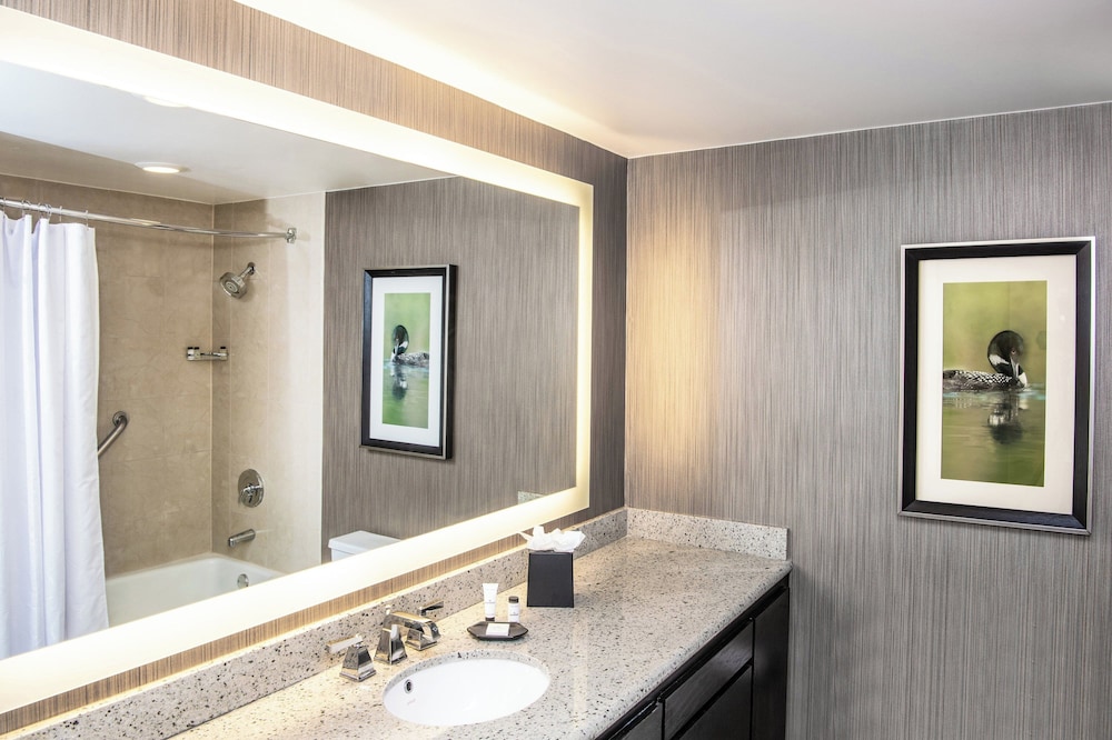 Sheraton Minneapolis West Hotel - photo 38