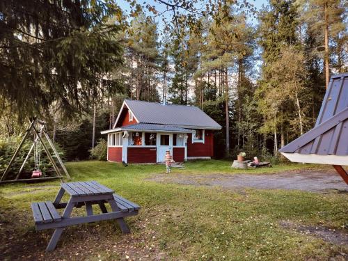 Punatulkku in Kalajoki, Finland