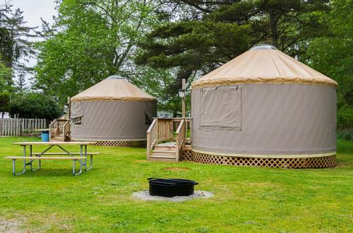 Long Beach Camping Resort Yurt 9 - photo 13