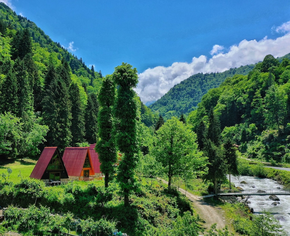 Kotit Ayder Bungalov & Restaurant — hotel in Camlihemsin