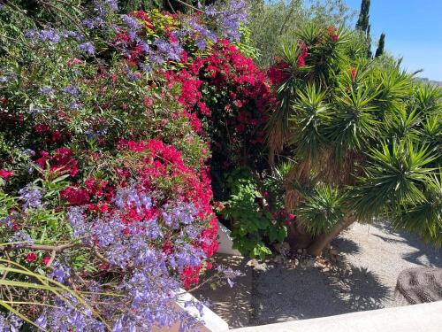 Casandalusi in Nerja, Spain