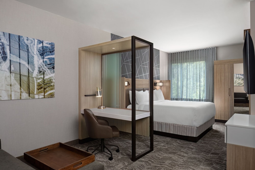 SpringHill Suites by Marriott Kalamazoo Portage - photo 31