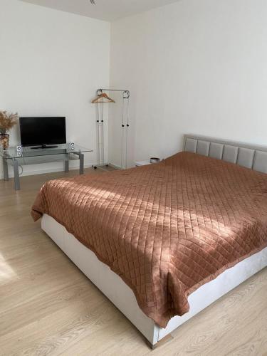 Near city center flat - last minute hotel in Prague