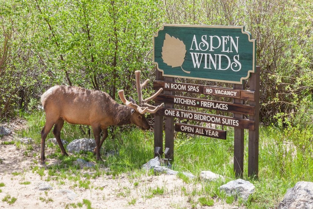 Aspen Winds on Fall River - photo 10