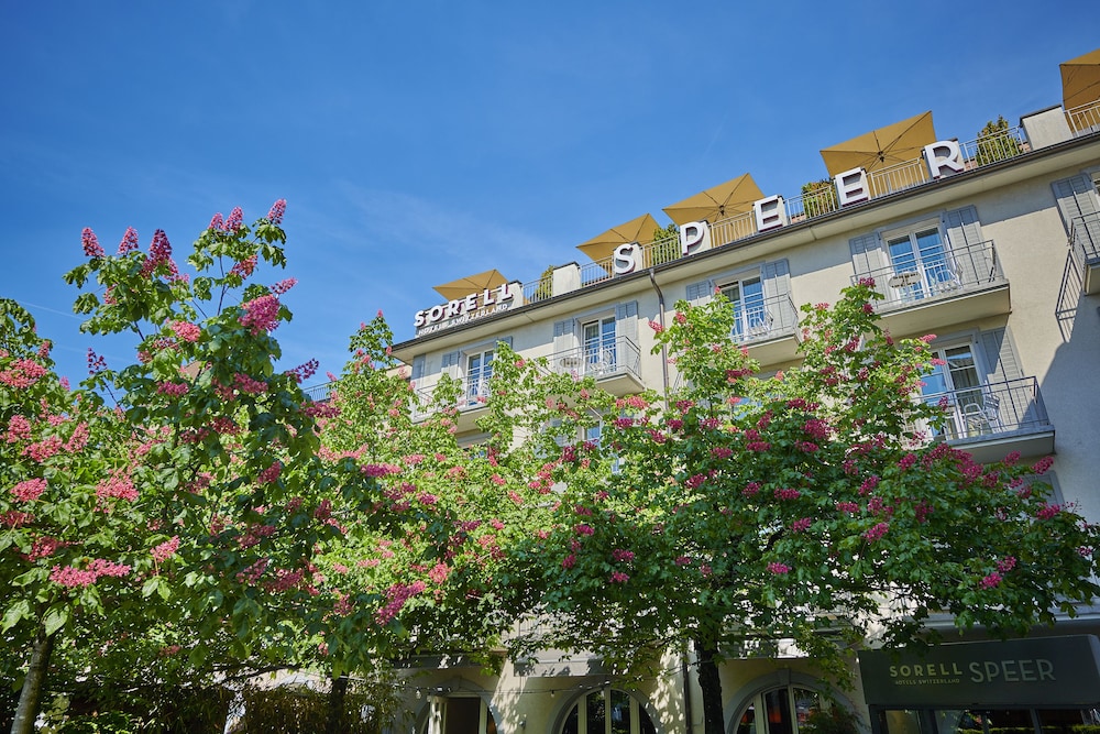 Sorell Hotel Speer — hotel in Rapperswil