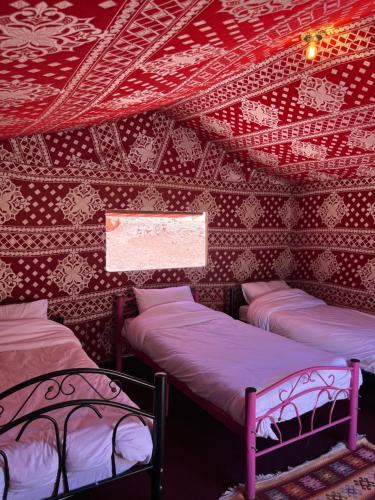 Wadi Rum Best Tours in Wadi Rum, Jordan