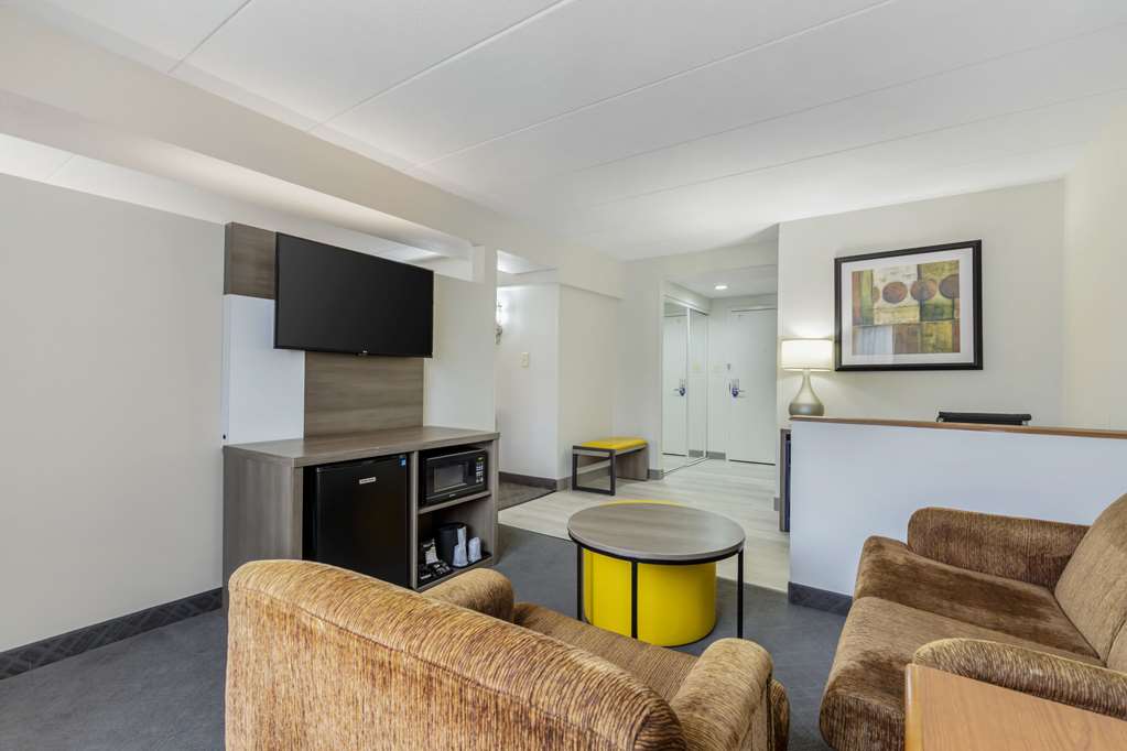 Comfort Inn Herndon Reston - photo 17