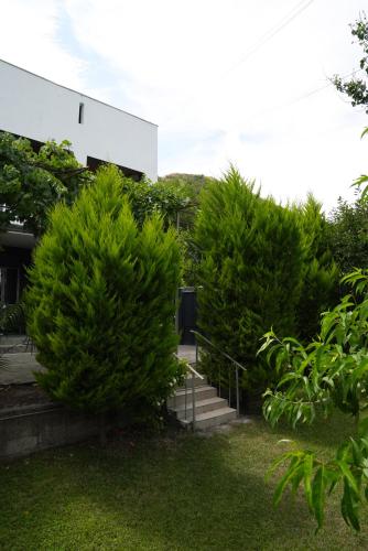 Villa Aragvi